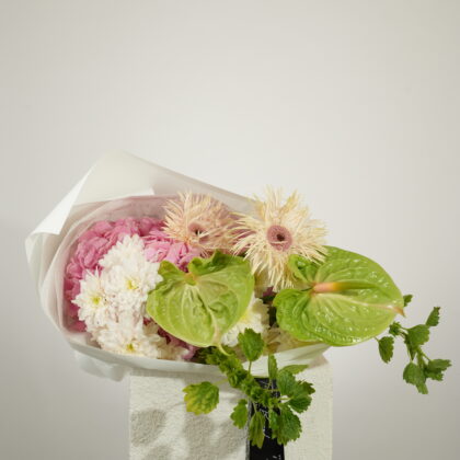 Soft Blooms